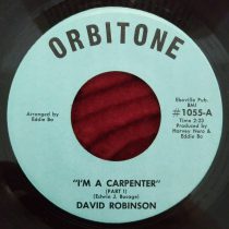 David Robinson ‎– I’m A Carpenter