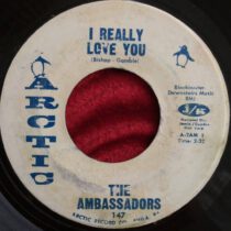 The Ambassadors – I Really Love You