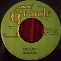 Volume One – Jungle Beat / If At Last
