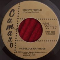 Fabulous Caprices – Groovy World / My Love