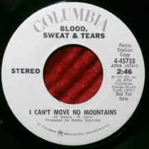 Blood, Sweat & Tears – I Can’t Move No Mountains