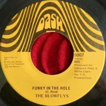 Blowflys, The – Funky In The Hole