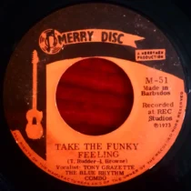Blue Rhythm Combo – Take The Funky Feeling